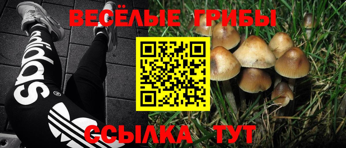 Галлюциногенные грибы Psilocybine cubensis  Псилоцибиновые грибы мицелий  Вход с VPN  Обнинск 